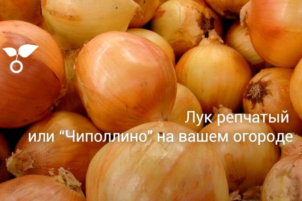 Сайты типа гидры