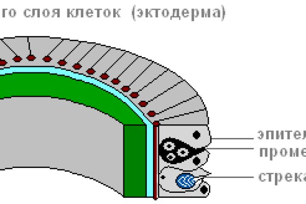 Tor kraken маркет