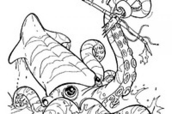 Kraken 1 2