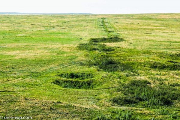 Какой нужен тор чтоб зайти в кракен