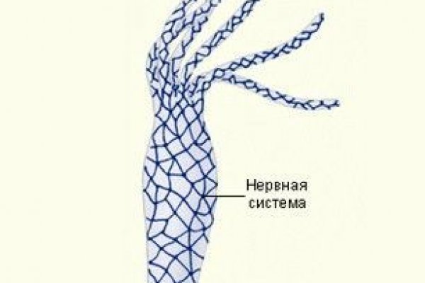 Mega darknet ссылка