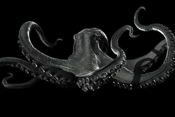 Kraken 12 at