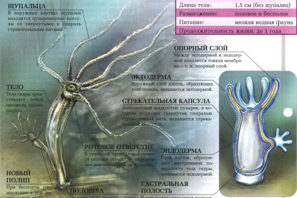 Kraken ссылки актуальные 2025 г