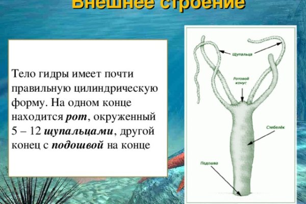 Актуальные ссылки кракен 2025