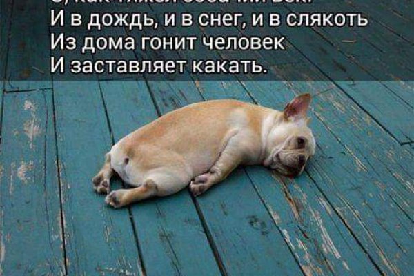 Работающий сайт кракен