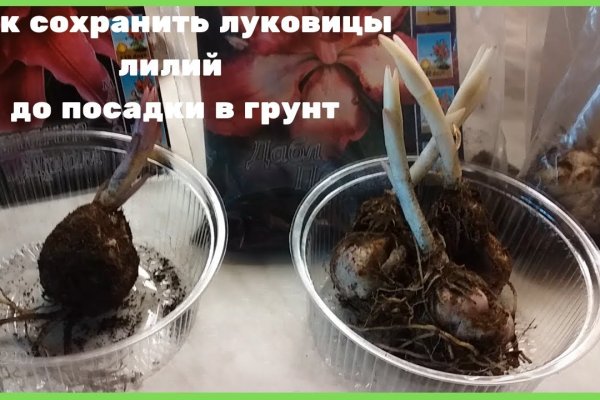 Kraken актуальное
